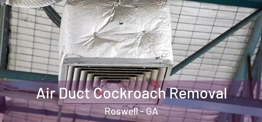 Air Duct Cockroach Removal Roswell - GA