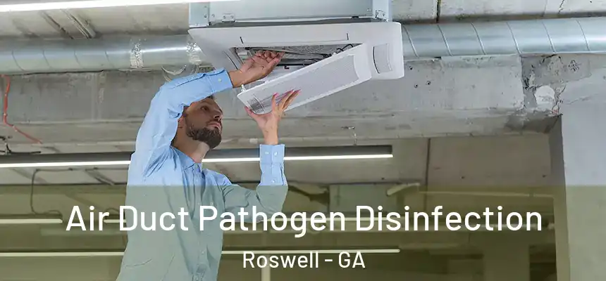 Air Duct Pathogen Disinfection Roswell - GA