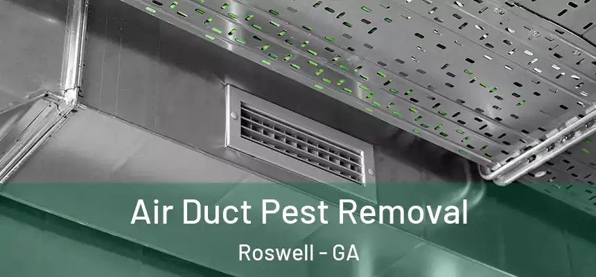 Air Duct Pest Removal Roswell - GA