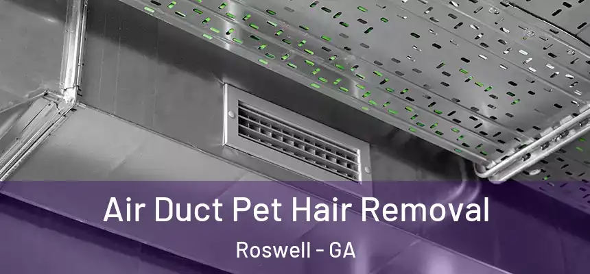 Air Duct Pet Hair Removal Roswell - GA