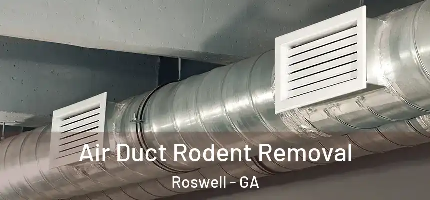 Air Duct Rodent Removal Roswell - GA