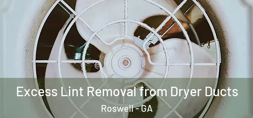  Excess Lint Removal from Dryer Ducts Roswell - GA