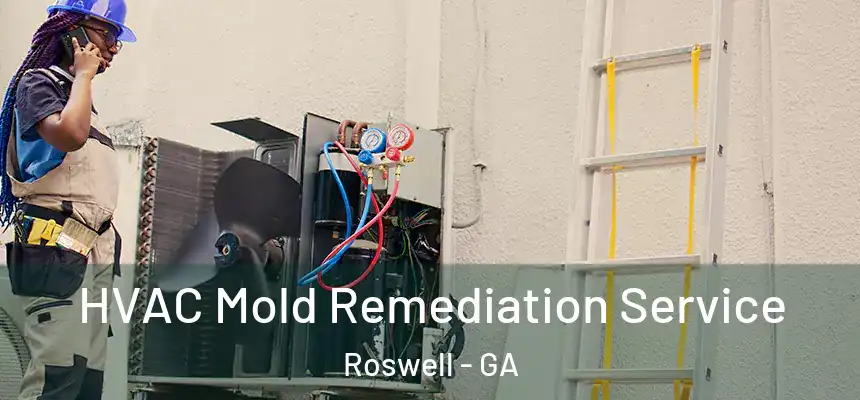 HVAC Mold Remediation Service Roswell - GA