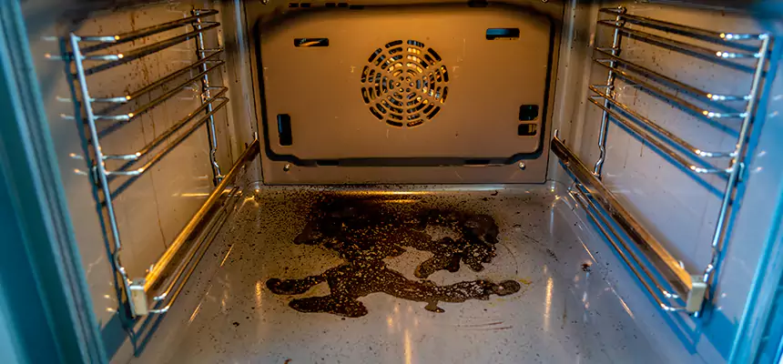 Our Dryer Vent Mold Cleaning Services in Roswell, GA