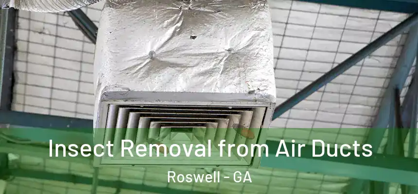 Insect Removal from Air Ducts Roswell - GA