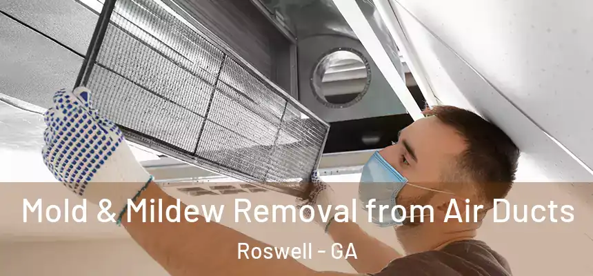 Mold & Mildew Removal from Air Ducts Roswell - GA