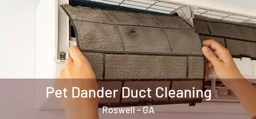 Pet Dander Duct Cleaning Roswell - GA
