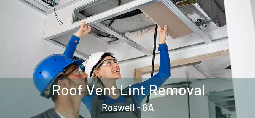 Roof Vent Lint Removal Roswell - GA