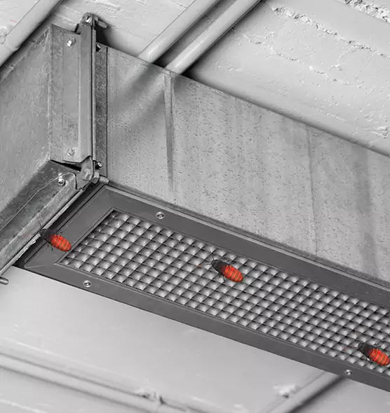 About Air Duct Cockroach Removal in Roswell, GA