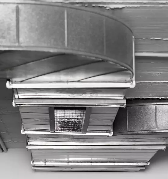 Professional Air Duct Pest Removal in Roswell, GA