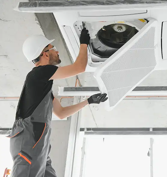 About Air Duct Rodent Removal in Roswell, GA