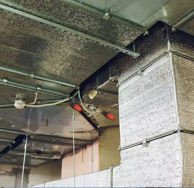 Why Homeowners & Businesses Trust Us in Roswell, GA?