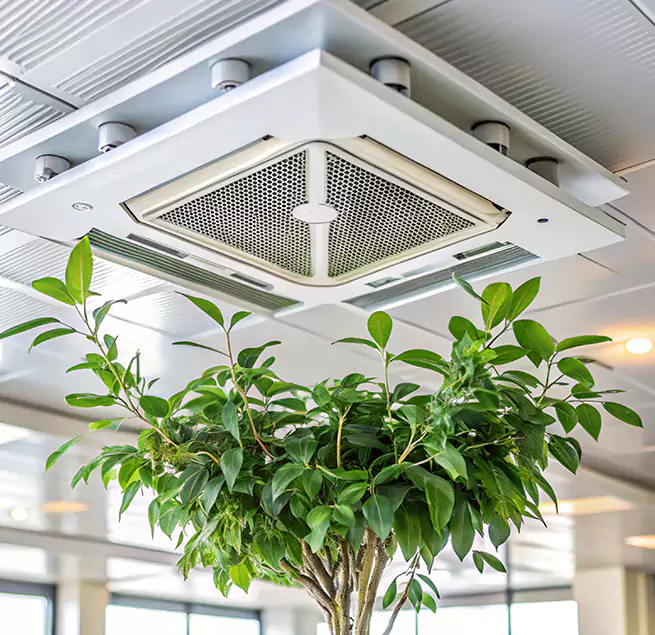 Why Homeowners & Businesses Trust Us in Roswell, GA?