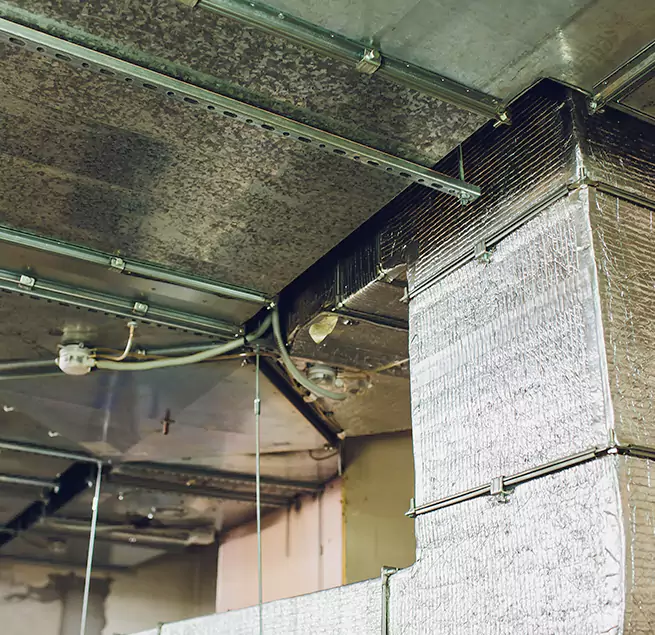 Why Homeowners & Businesses Trust Us in Roswell, GA?